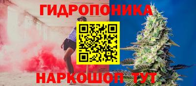 ALPHA PVP Новозыбков