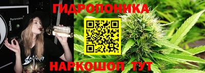 ALPHA PVP Новозыбков